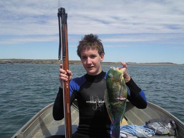 " Turquoise Blue & Electric Green " " Turquoise Blue & Electric Green "